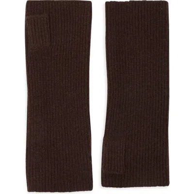 Nordstrom Cashmere Arm Warmers In Brown