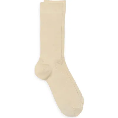 Nordstrom Casual Rib Crew Socks In Brown