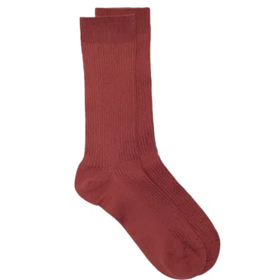 Nordstrom Casual Rib Crew Socks In Burgundy