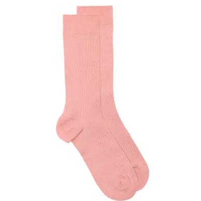 Nordstrom Casual Rib Crew Socks In Pink