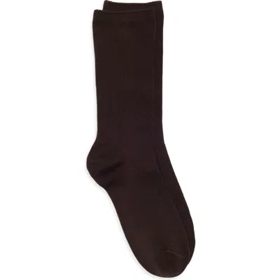 Nordstrom Everyday Rib Crew Socks In Brown