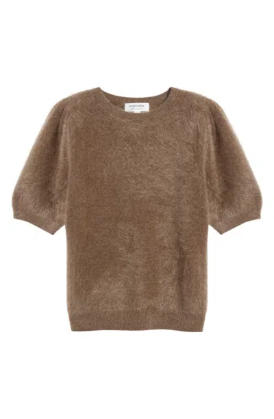 Nordstrom Femme Short Sleeve Brushed Cashmere Sweater In Brown