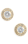 Nordstrom Halo Cubic Zirconia Stud Earrings In Clear- Gold
