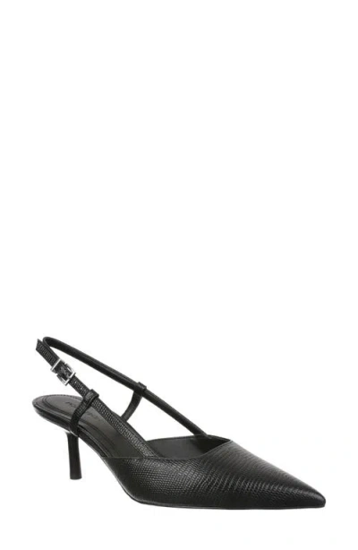 Nordstrom Lana Pointed Toe Slingback Pump In Black
