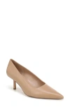 Nordstrom Libby Pointed Toe Pump In Multi