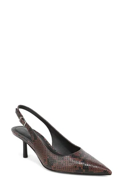 Nordstrom Liza Kitten Heel Slingback Pump In Brown