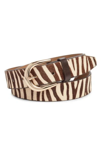 Nordstrom Melony Genuine Calf Hair Belt In Ziger