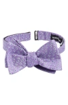 Nordstrom Paisley Dot Silk Bow Tie In Purple