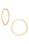 Nordstrom Pavé Sterling Silver Hoop Earrings In Gold