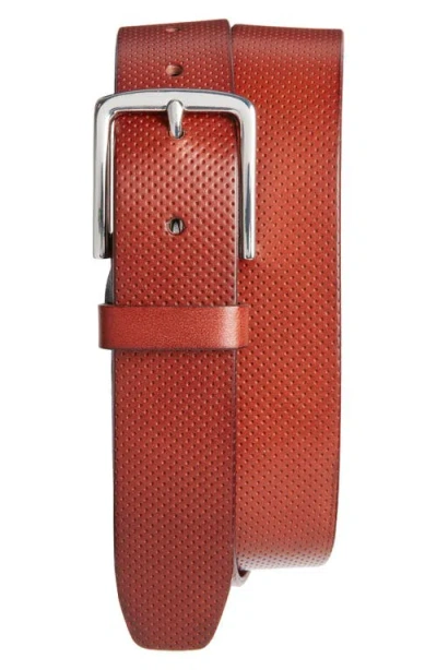 Nordstrom Perforated Leather Belt In Cognac