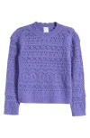 Nordstrom Pointelle Crewneck Sweater In Purple Peri