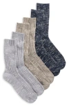 Nordstrom Rack 3-pack Slub Crew Socks In Multi