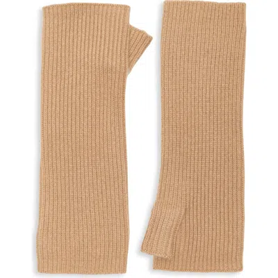 Nordstrom Rack Cashmere Arm Warmers In Brown