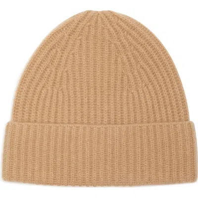Nordstrom Rack Cashmere Ribbed Beanie In Brown