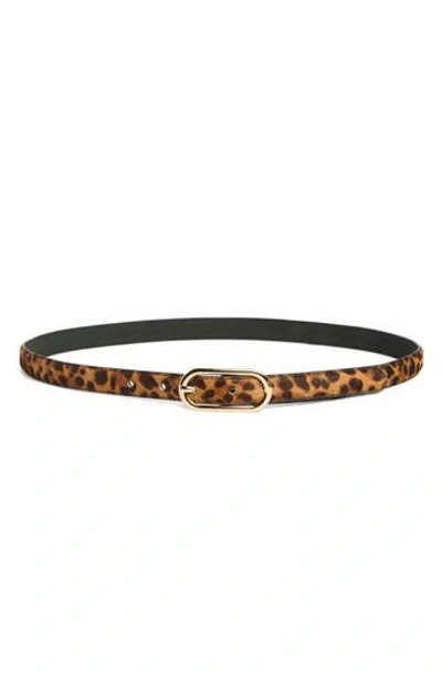 Nordstrom Rack Cheetah Genuine Calf Hair & Leather Belt In Brown