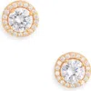 Nordstrom Rack Cz Pavé Button Stud Earrings In Gold