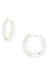 Nordstrom Rack Demi Fine Pavé Twisted Huggie Hoop Earrings In Silver
