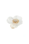 Nordstrom Rack Frosted Flower Cocktail Ring In Gold