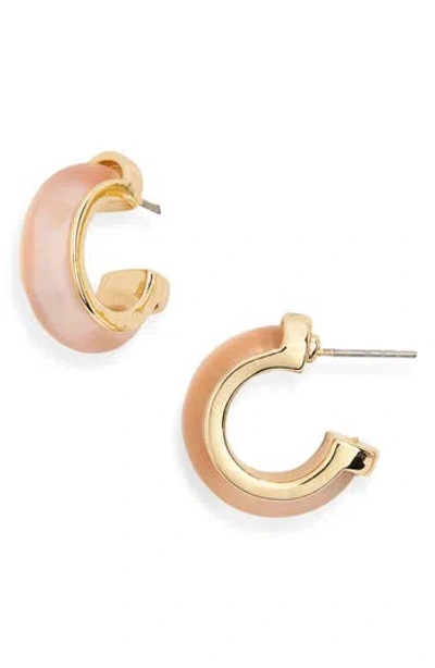 Nordstrom Rack Frosted Resin Huggie Hoop Earrings In Multi