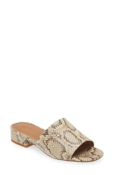 Nordstrom Rack Henna Slide Sandal In Black-white Snake