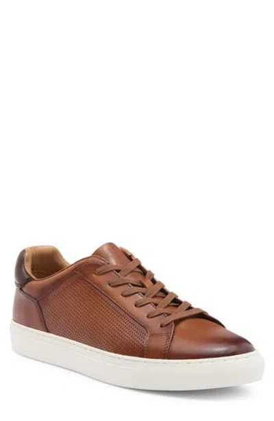 Nordstrom Rack Jasper Dress Sneaker