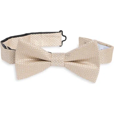 Nordstrom Rack Lorraine Textured Bow Tie In Black