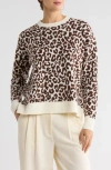Nordstrom Rack Patterned Crewneck Sweater In Brown