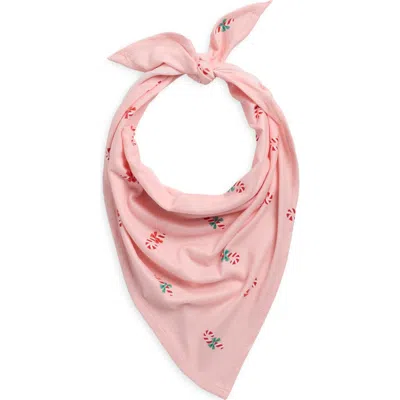 Nordstrom Rack Peppermint Bliss Pet Bandana