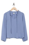 Nordstrom Rack Ruffle Neck Top In Blue