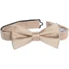 Nordstrom Rack Satin Solid Bow Tie In Brown