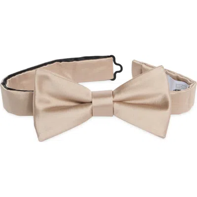 Nordstrom Rack Satin Solid Bow Tie In Brown