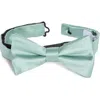 Nordstrom Rack Satin Solid Bow Tie In Green