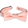 Nordstrom Rack Satin Solid Bow Tie In Pink
