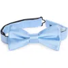 Nordstrom Rack Satin Solid Bow Tie In Transparent