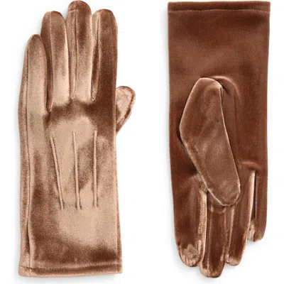 Nordstrom Rack Tech Velour Gloves In Brown