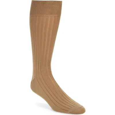 Nordstrom Ribbed Mercerized Cotton Blend Dress Socks In Taupe