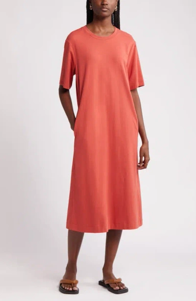 Nordstrom Stretch Cotton Midi T-shirt Dress In Rust Spice