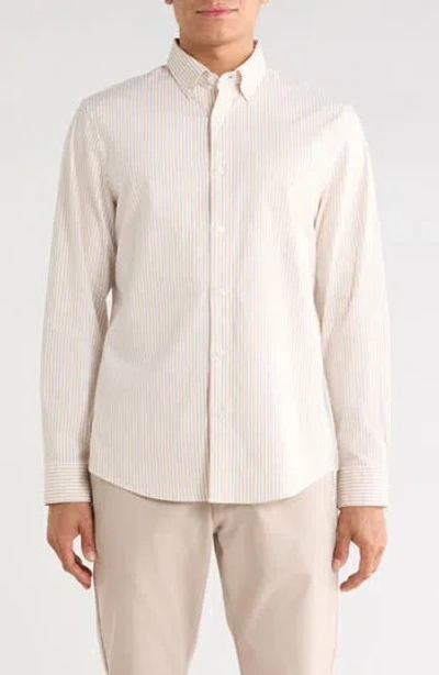 Nordstrom Stripe Oxford Button-down Shirt In Neutral