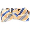 Nordstrom Stripe Silk Pre-tied Bow Tie In Yellow