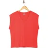 Nordstrom V-neck Pima Cotton T-shirt