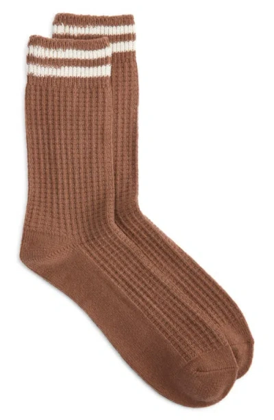 Nordstrom Waffle Texture Cotton Blend Crew Socks In Brown