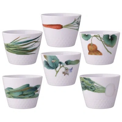 Noritake Kyoka Shunsai Set Of 6 Assorted Japanese Cups, 3.5", 7 Oz. In White