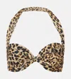 Norma Kamali Bill Bikini Top In Brown