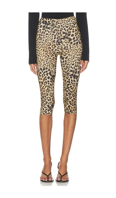 Norma Kamali Capri Legging In Animal Print