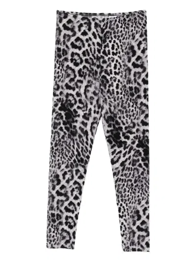 Norma Kamali Leopard-print Leggings In Gray