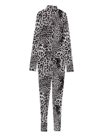 Norma Kamali Leopard-print Turtleneck Jumpsuit In Black
