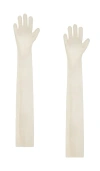 Norma Kamali Long Gloves In Cream