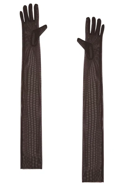 Norma Kamali Long Gloves In Espresso