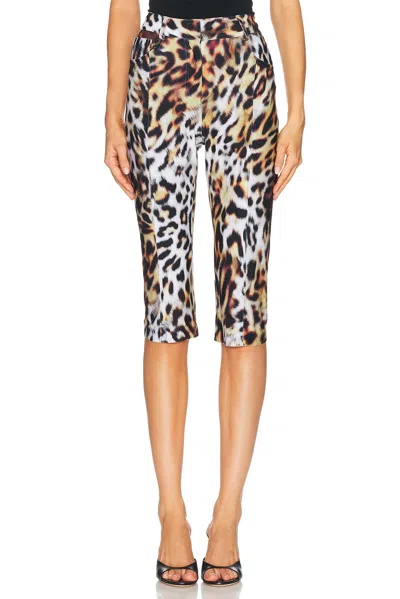 Norma Kamali Pedal Pusher Capri Pant In Animal Print