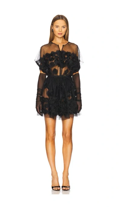 Norma Kamali Super Os Sleeveless Bf Flared Mini Dress In 黑色